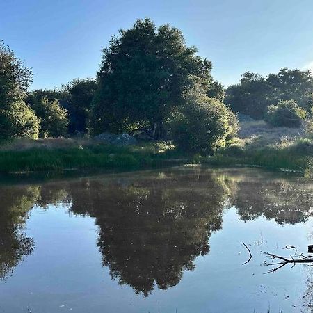 Вілла Julian Orchard Ranch Santa Ysabel Екстер'єр фото