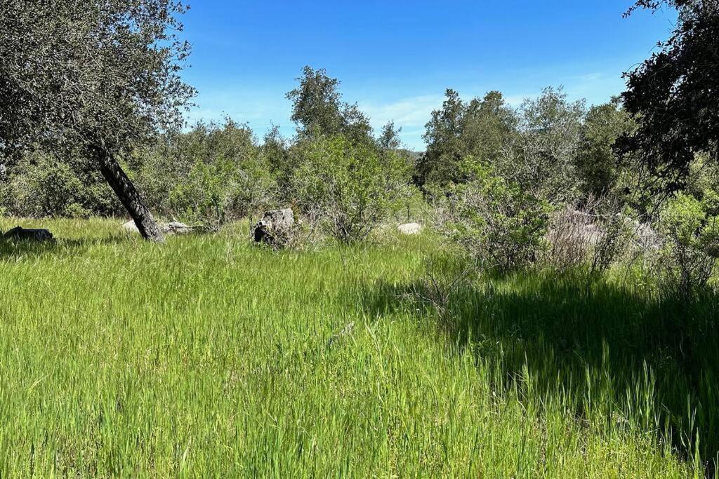 Вілла Julian Orchard Ranch Santa Ysabel Екстер'єр фото